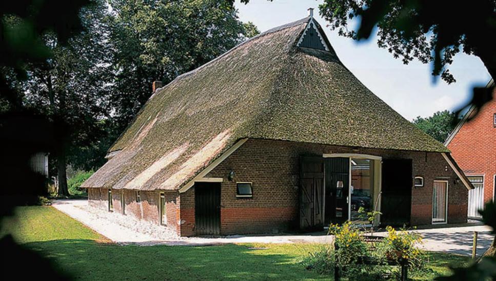 Nieuw - Luxe Blokhut Chalet In Bosrijke Omgeving Anloo Exterior foto